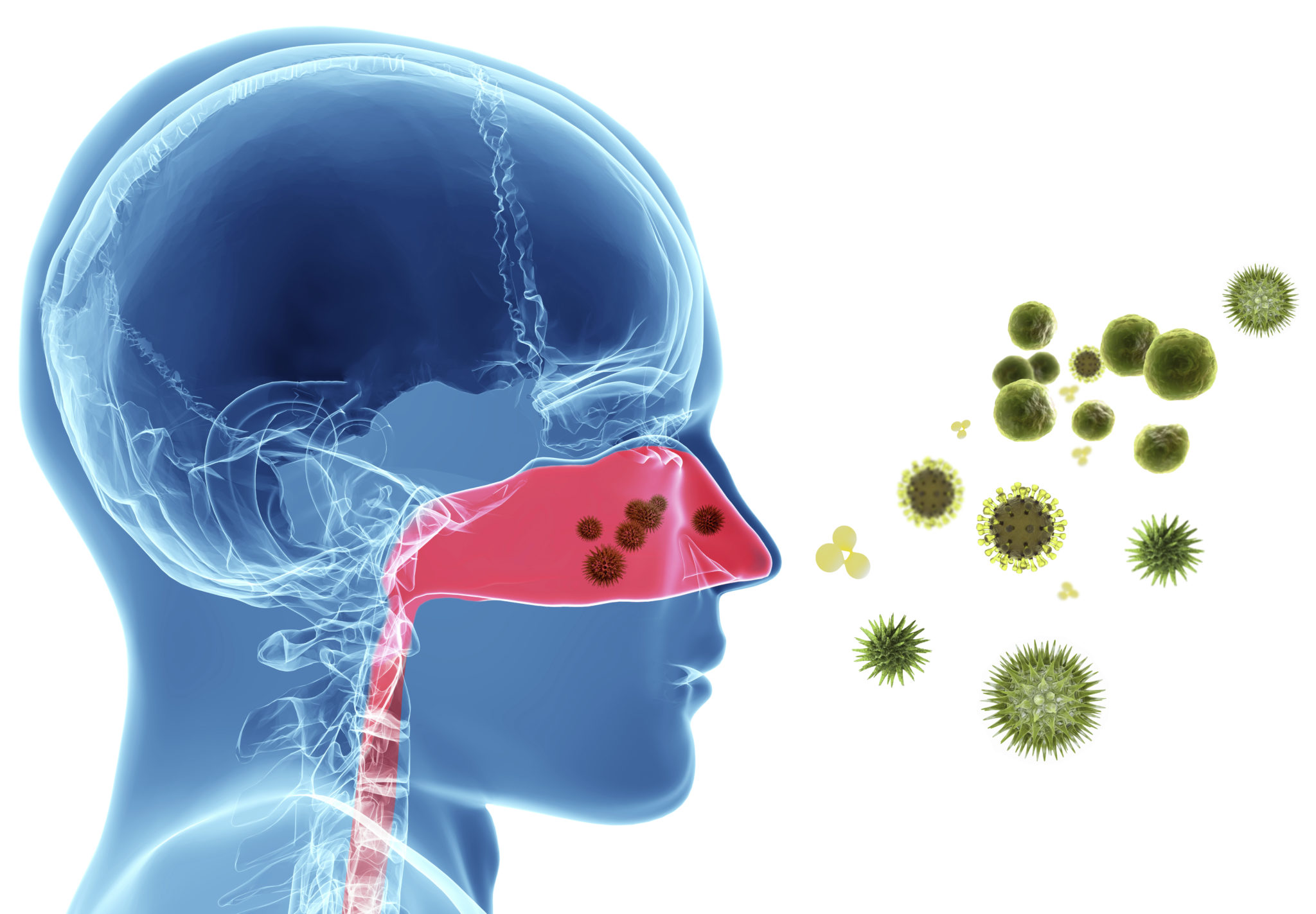 Allergies. What is an allergy?